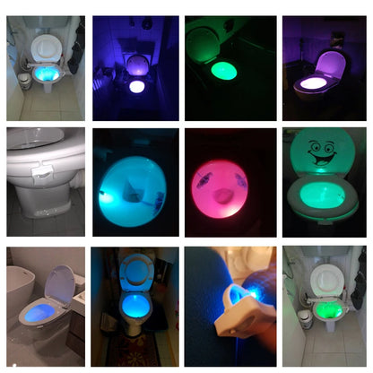 PIR Motion Sensor Toilet Night Light